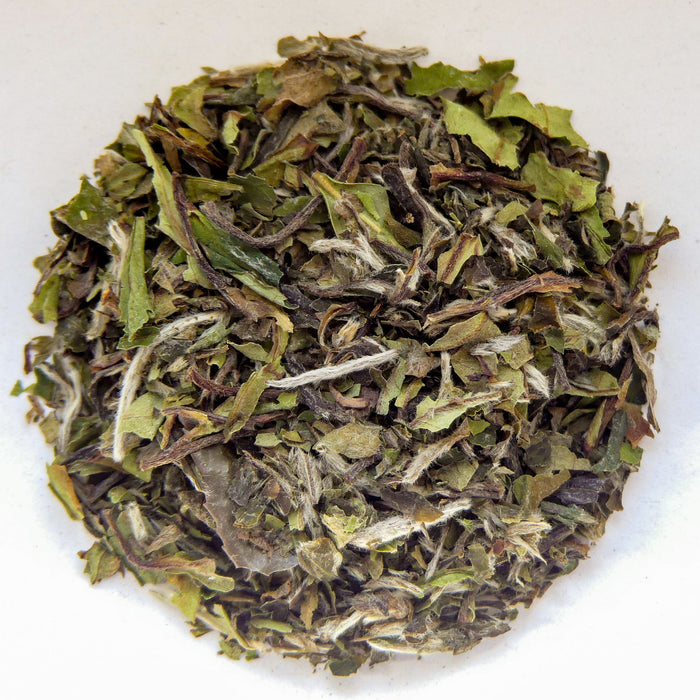 Pai Mu Tan - Weißer Tee